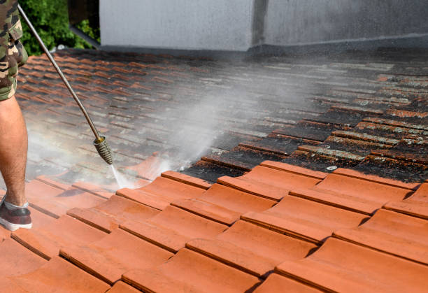 Best Local Pressure Washing Services  in Magnolia Springs, AL