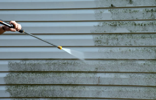 Best Garage Pressure Washing  in Magnolia Springs, AL