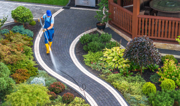 Best Roof Pressure Washing  in Magnolia Springs, AL